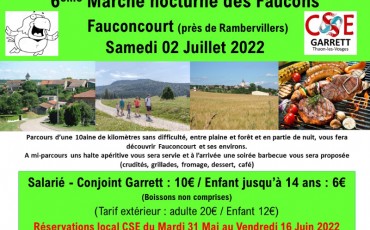 MARCHE NOCTURNE DES FAUCONS